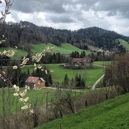 Paradies Fur Gaste Mit Parkplatz Und Fruhstuck Degersheim